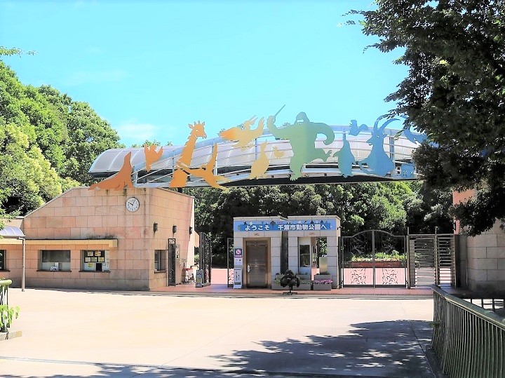 chiba zoo top 1