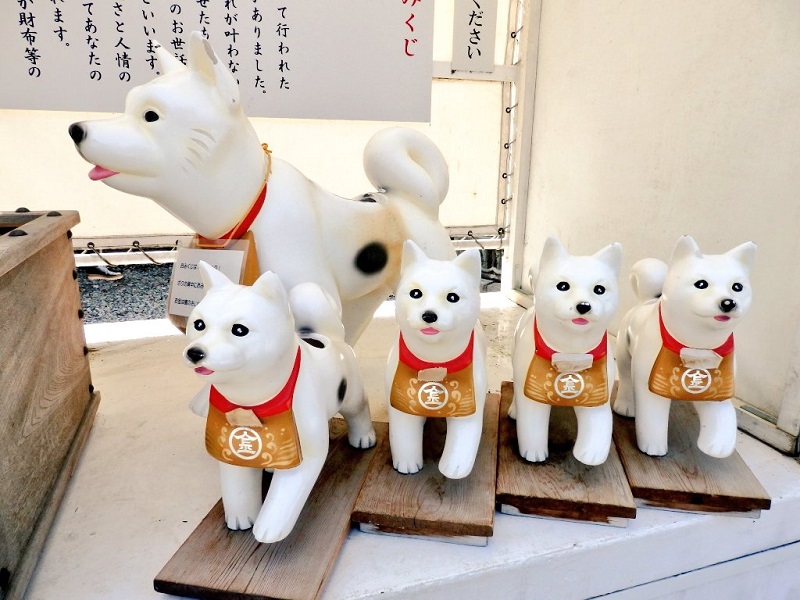 konpira honden inu 1