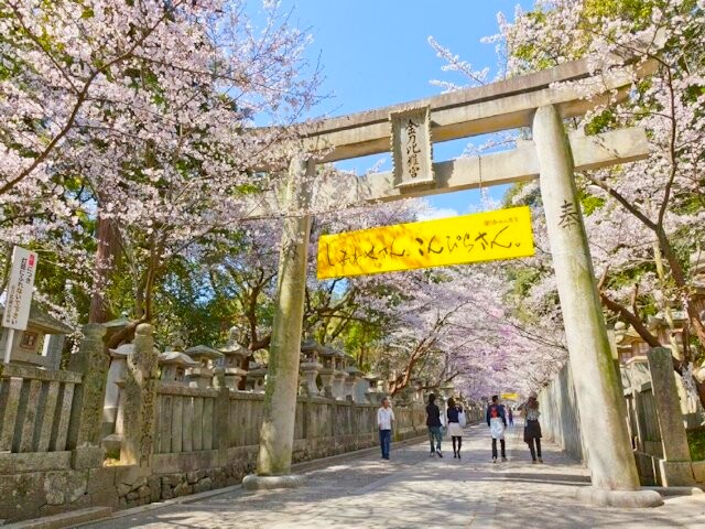 konpira sando daimon sakura 1
