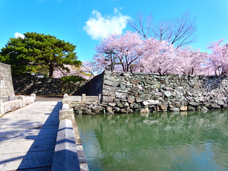 tokushima park 1