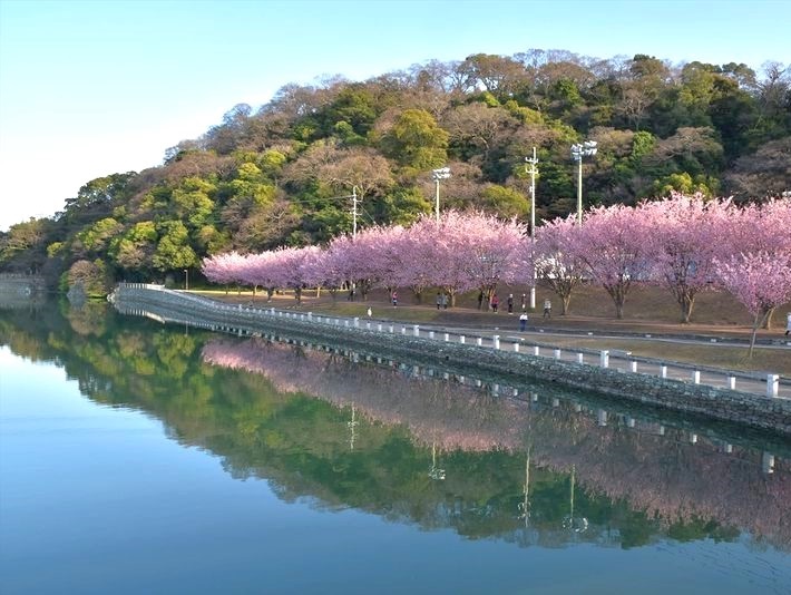 tokushima park top 1