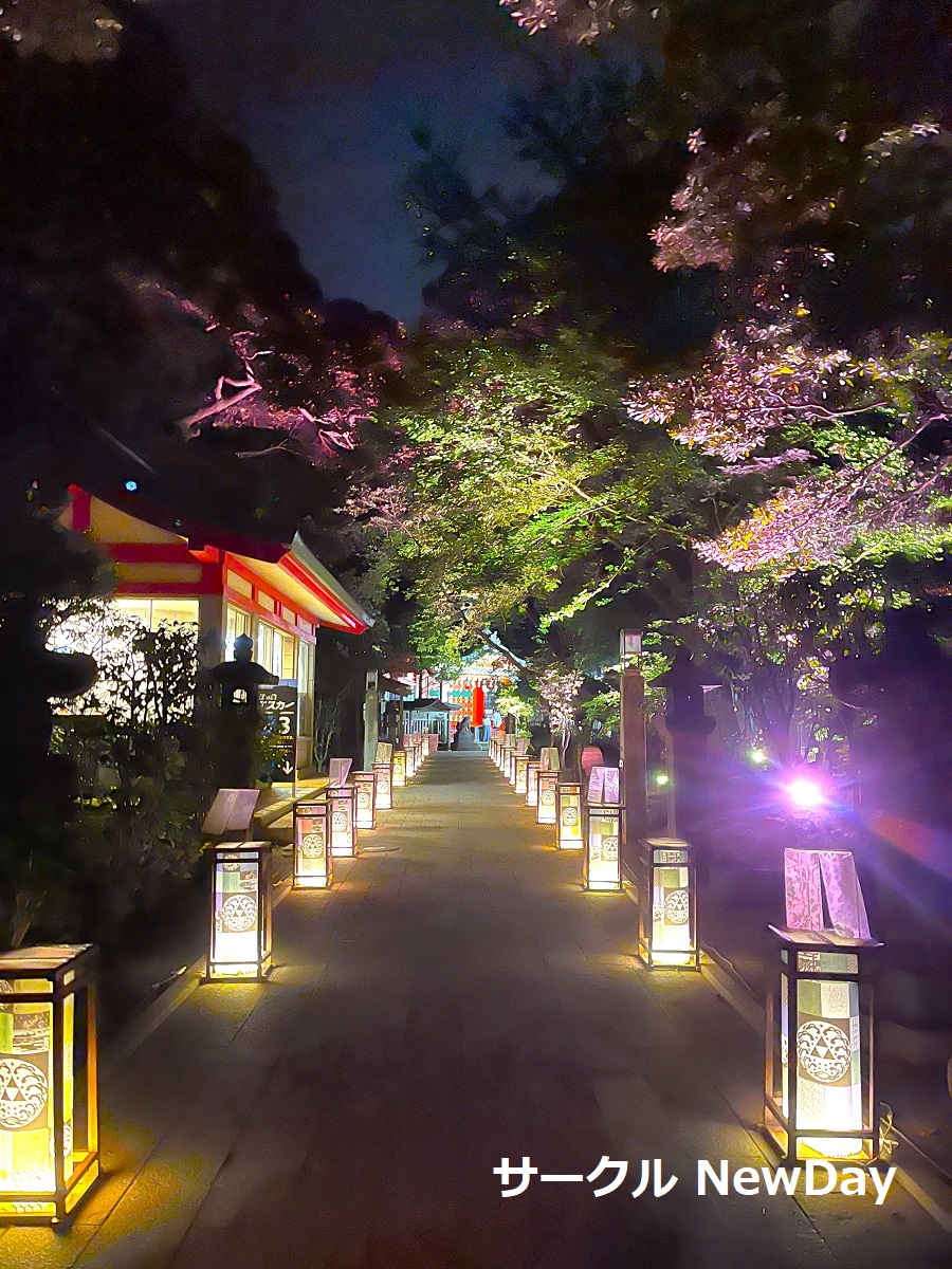 enoshima jinja tourou 4