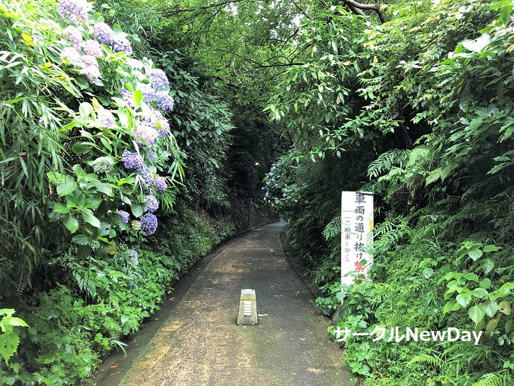 kamakura kamegaya 1