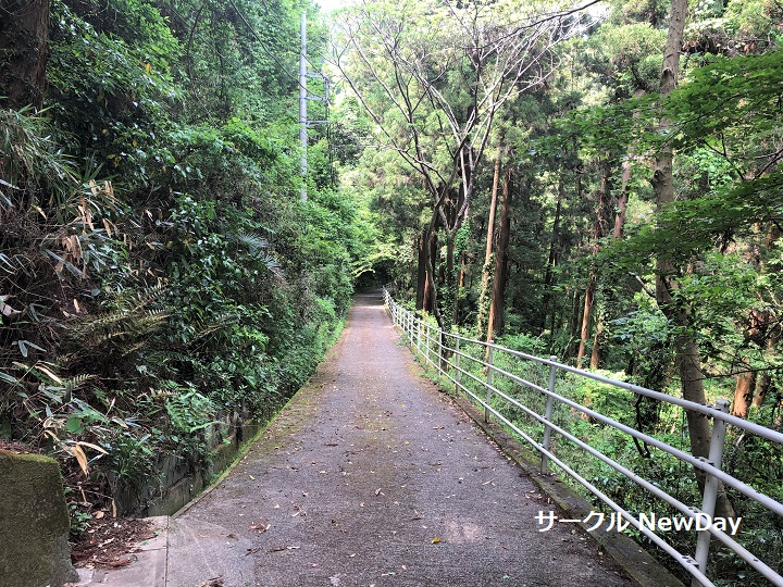 benten bridge 1