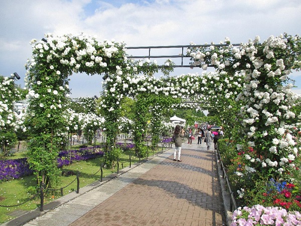 yamashita park 2 2