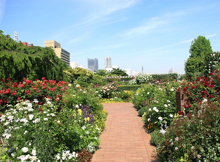 yamashita park 3