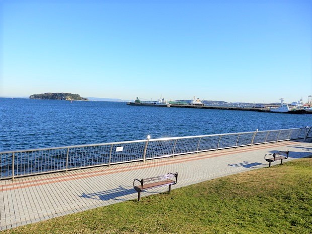 mikasa park sarushima 1