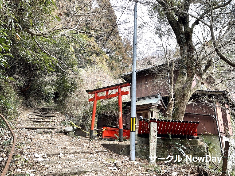 zushidani course jinja 1