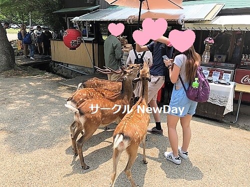 narapark 1