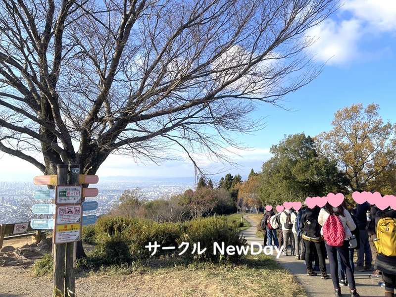 narukawa 15