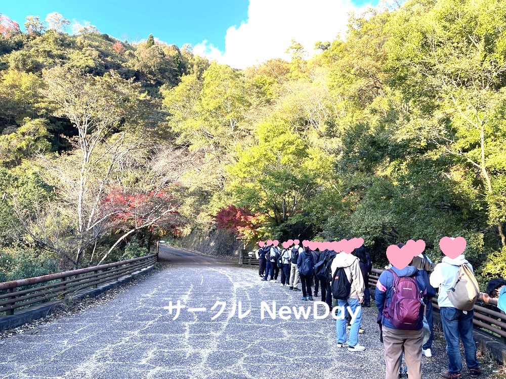 narukawa 19