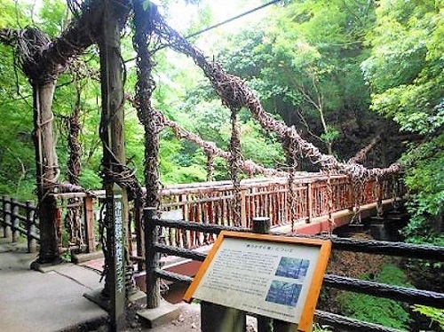 nunobiki sarunokazura bridge 1