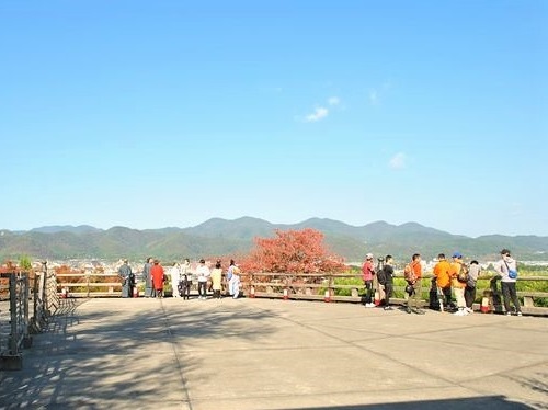 arashiyama 14