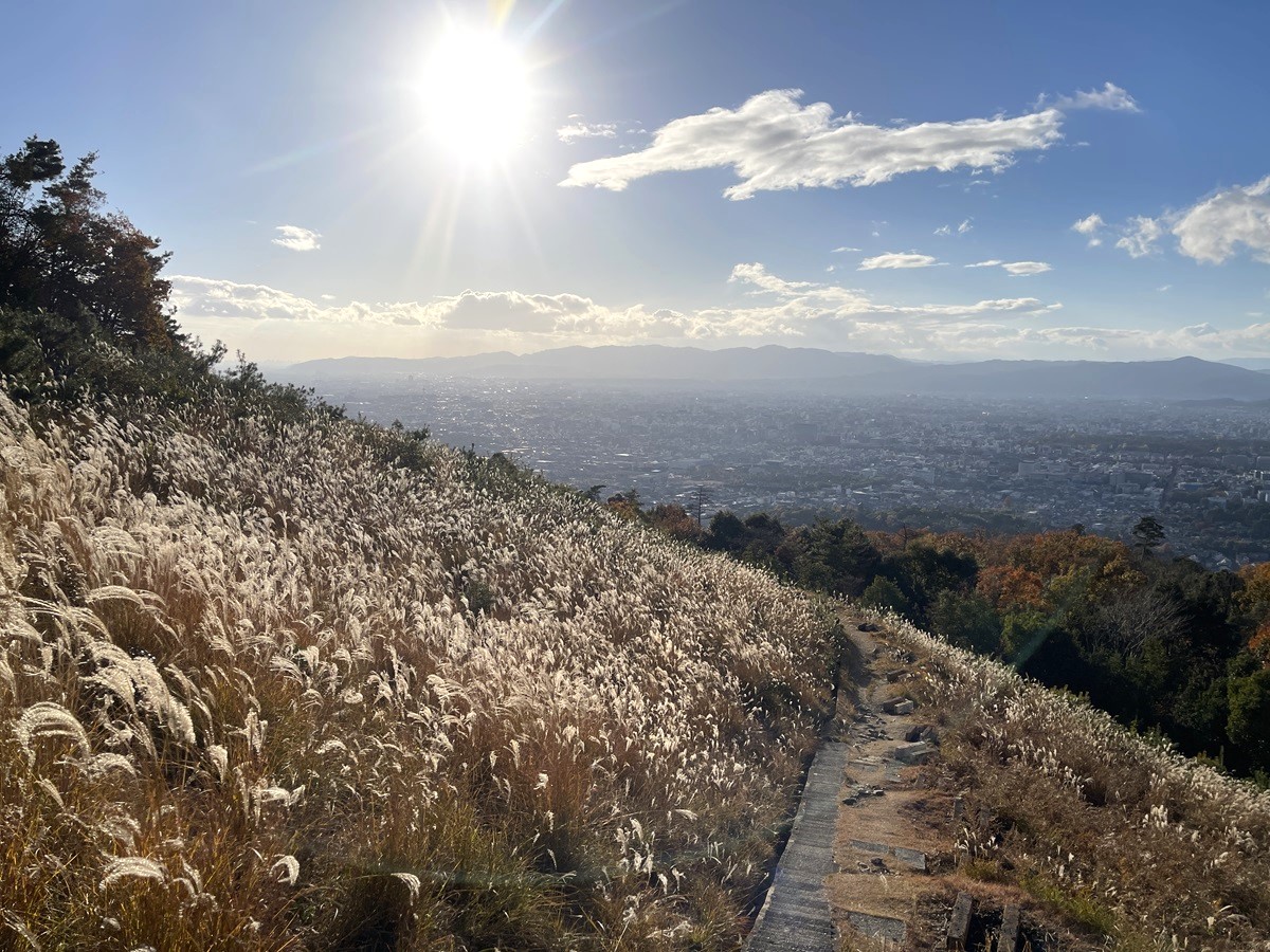 daimonji susuki 2