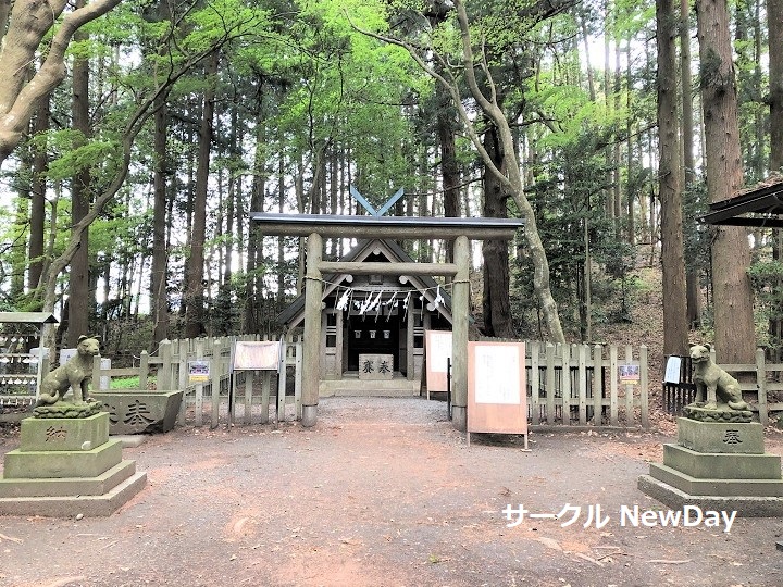 hodosan sancho jinja 1