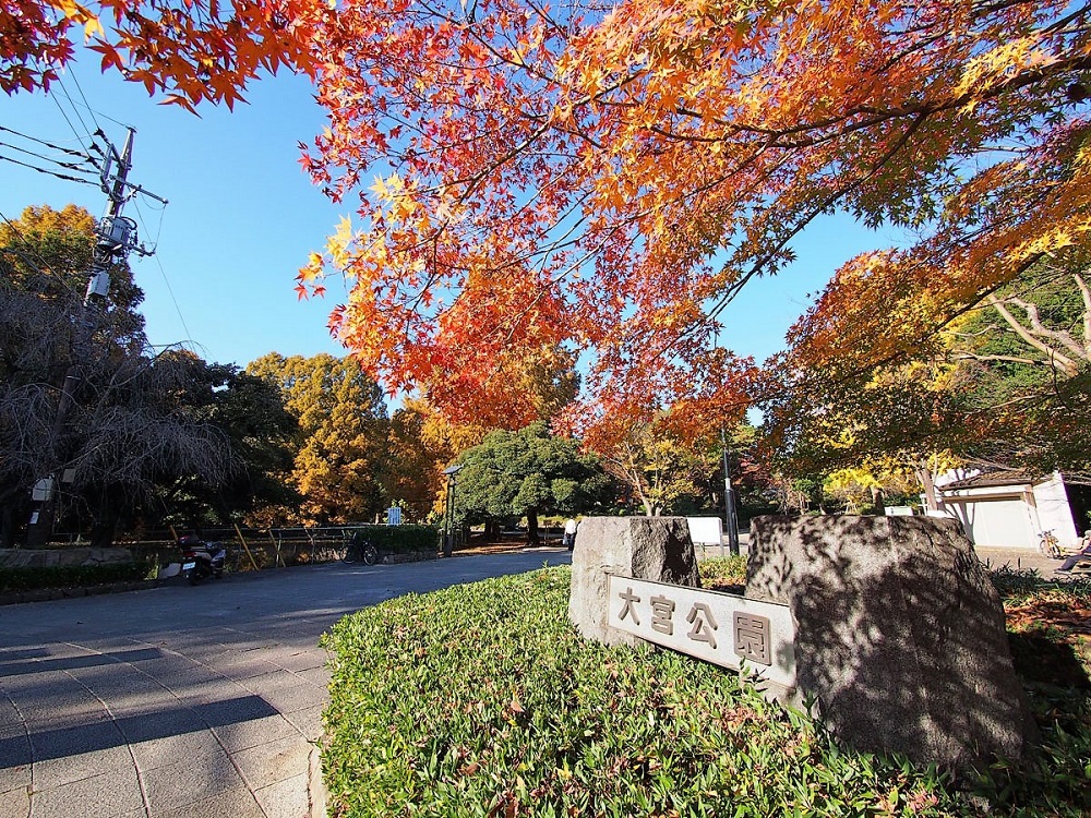 omiya park 1