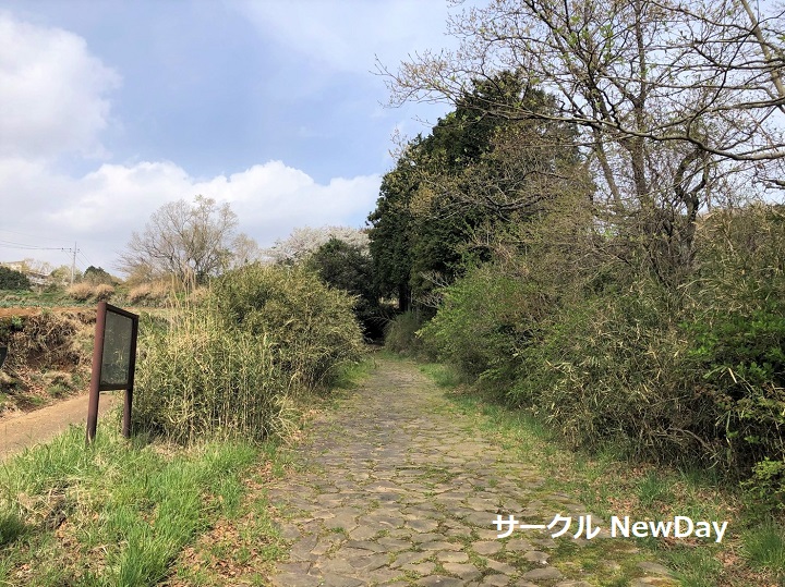 hakone kyukaido 1