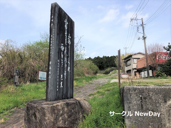 hakone kyukaido 3