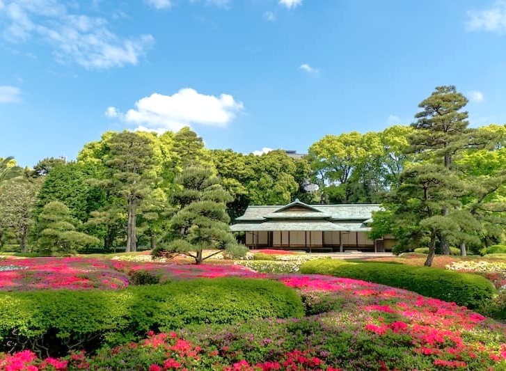 ninowa garden 5