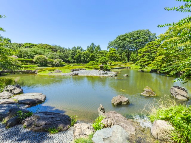 ninowa garden ike 1