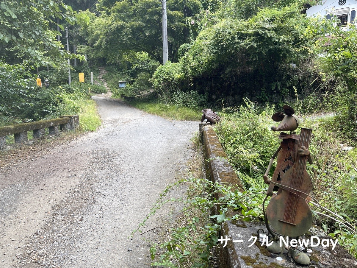 hinode door bridge 1