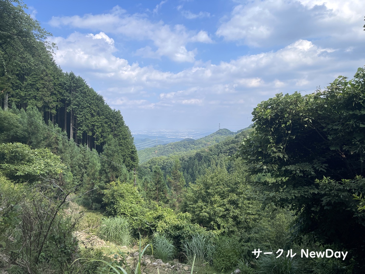 newcourse 5