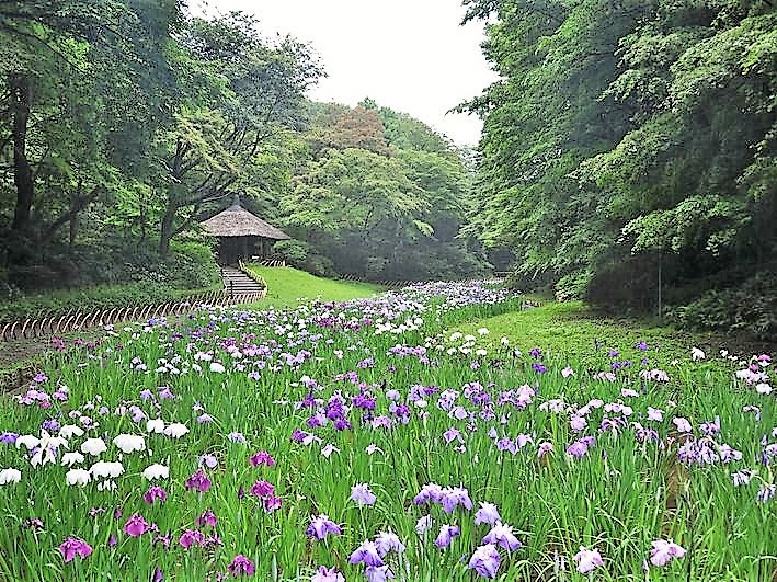 meijijingu gyoen 1