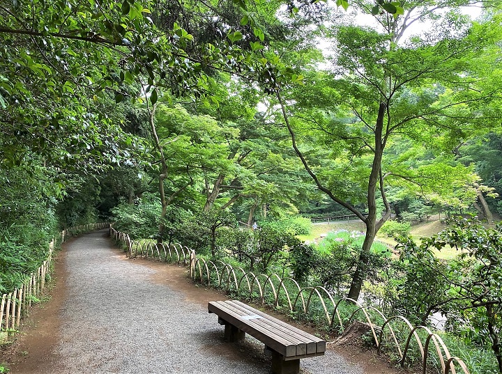 meijijingu gyoen 4