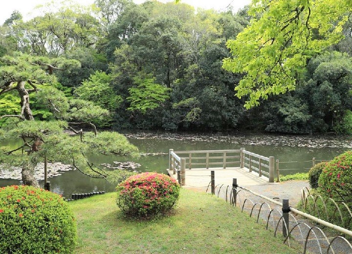 meijijingu gyoen ike 1