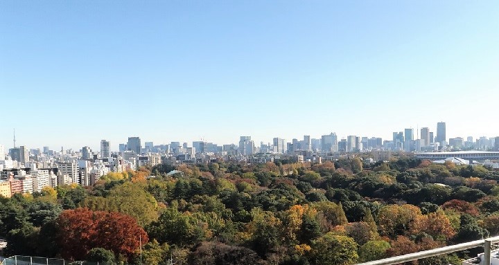 meijijingu mid 1