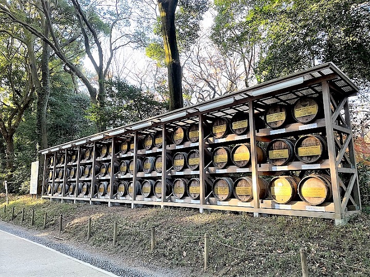 meijijingu sando taru 1