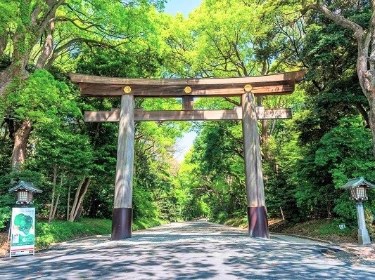 meijijingu top 1