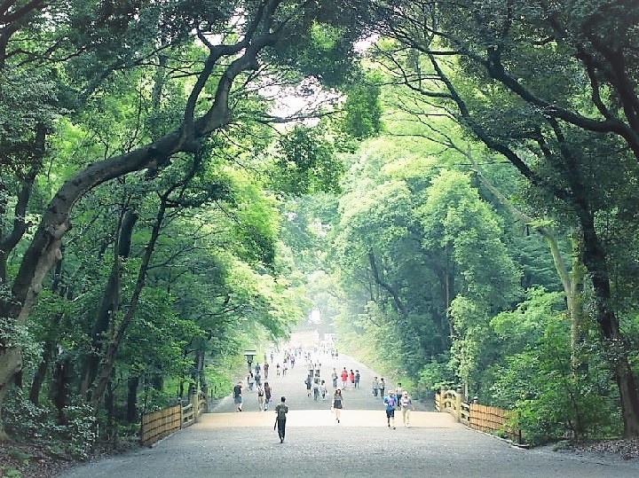 meijijingu top 3