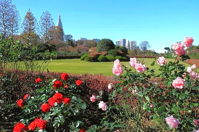 keisai garden 1