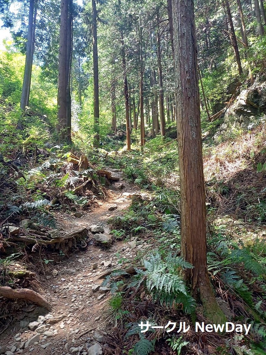 takamizu jofukuji course 1