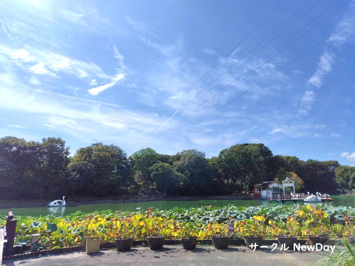 botanical garden ike 1