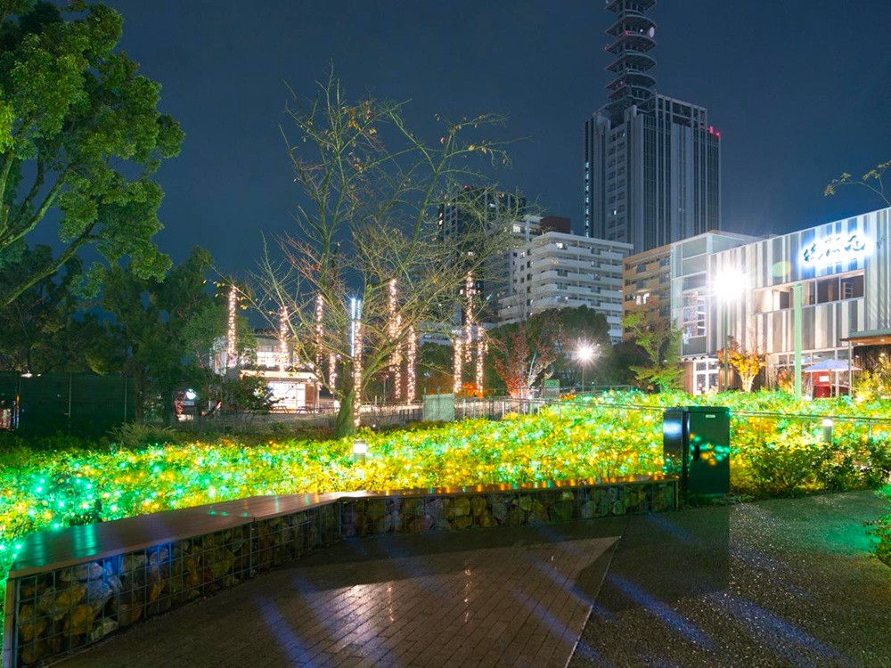 sakae illumi 11
