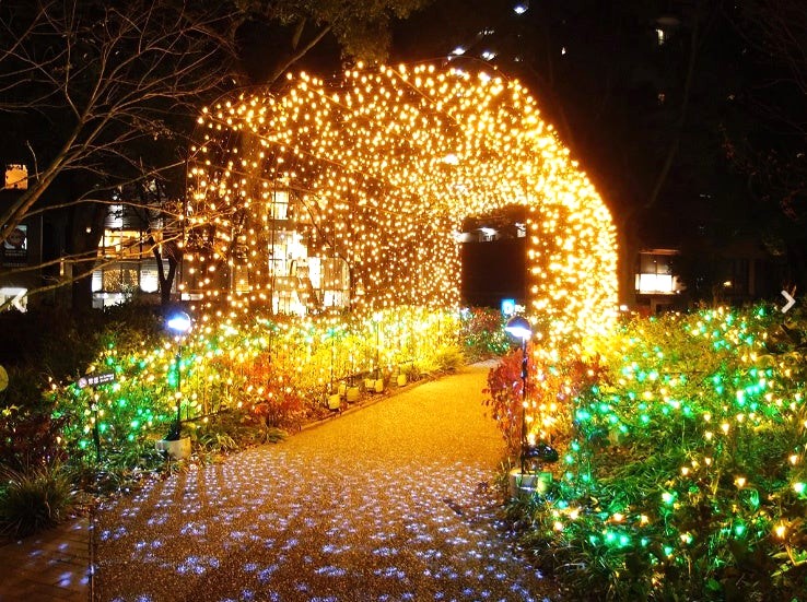 sakae illumi 13