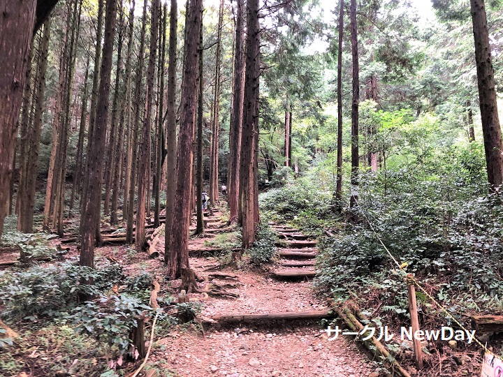 course kenkyaku 3