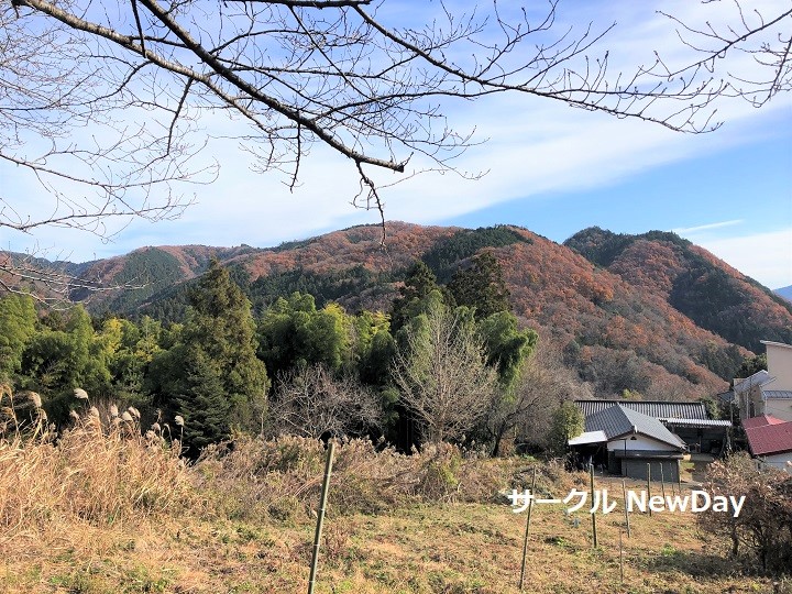 jinba keshiki 4