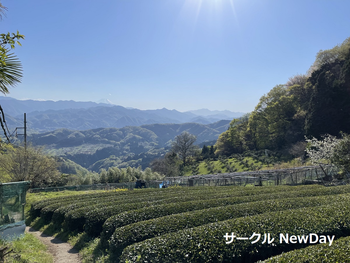 tochiya course chabatake 1
