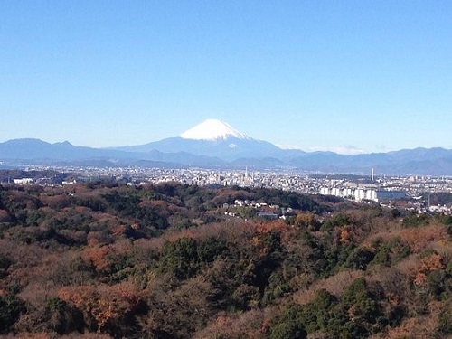 tenen fujisan 1