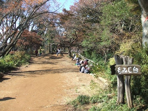 takao momijidai 1